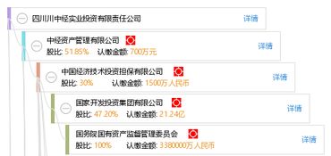 四川川中經實業投資有限責任公司的投資管理策略與實踐